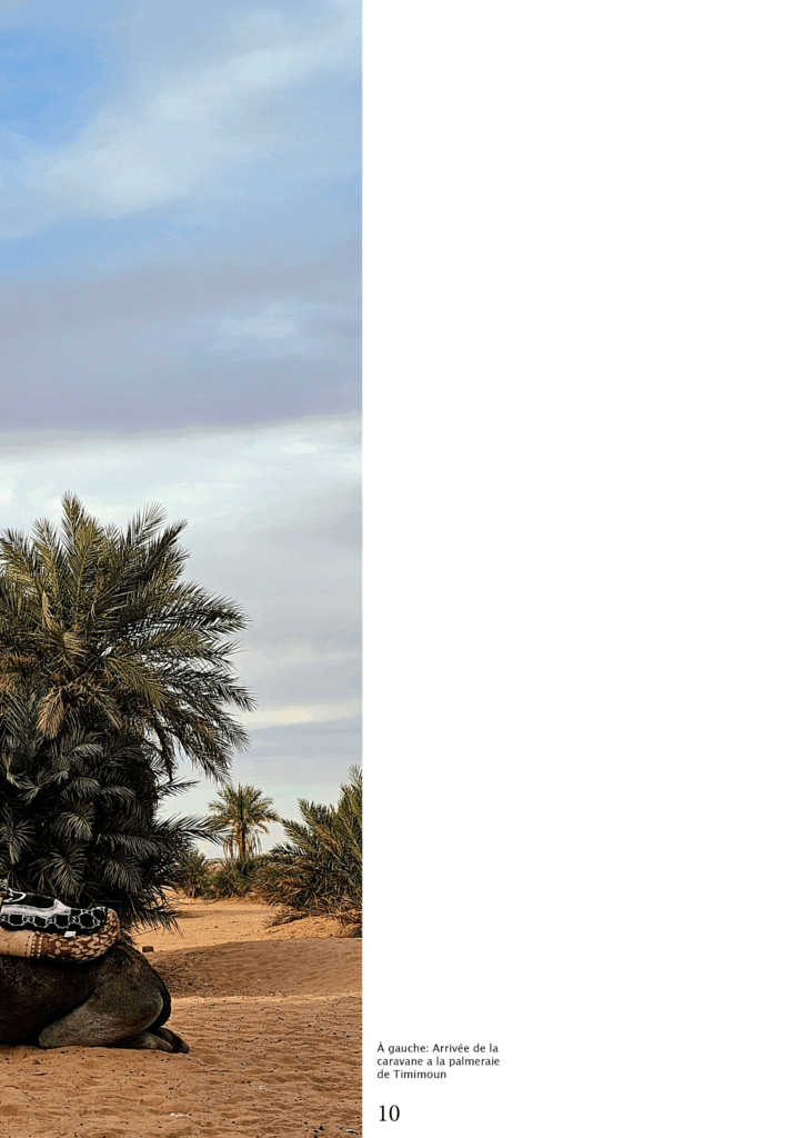 MISE EN PAGE ALGERIE png11