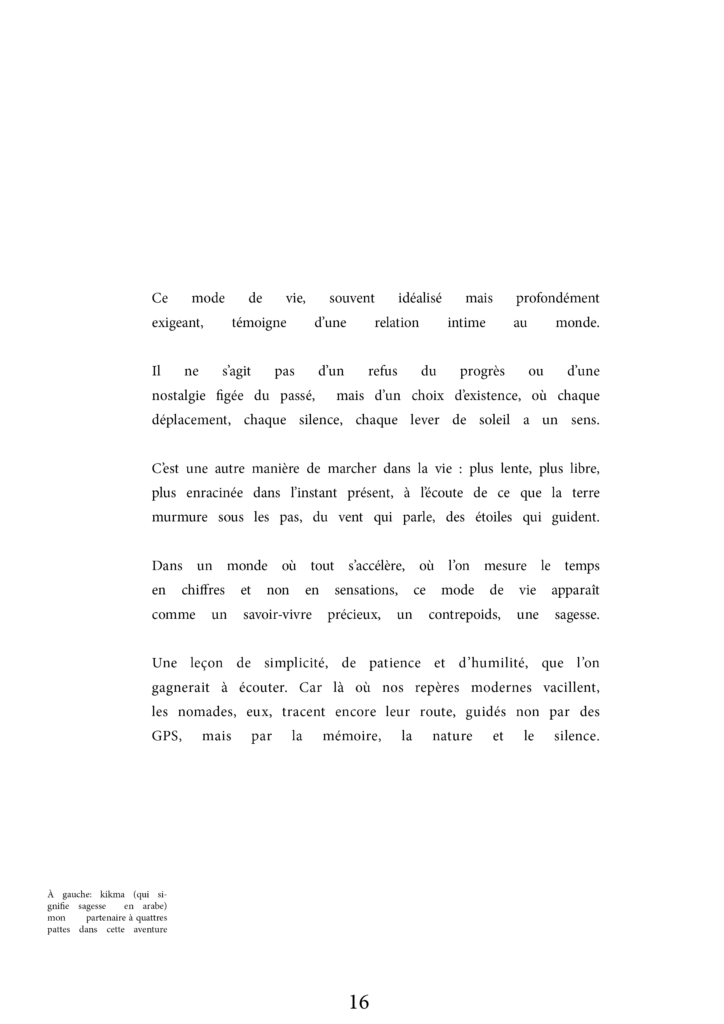 MISE EN PAGE ALGERIE png17